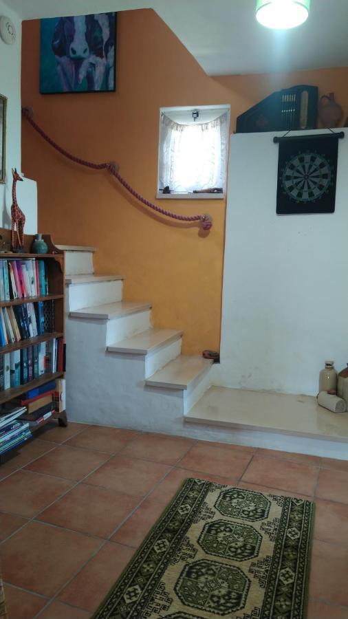 Casa Da Casimira Villa Miranda do Corvo Eksteriør billede