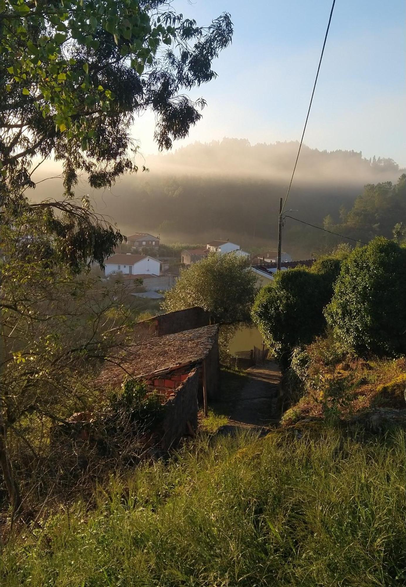 Casa Da Casimira Villa Miranda do Corvo Eksteriør billede