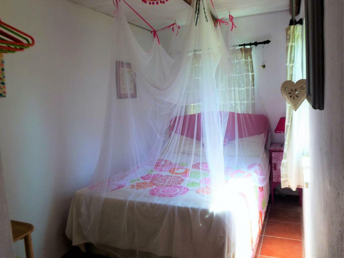Casa Da Casimira Villa Miranda do Corvo Eksteriør billede